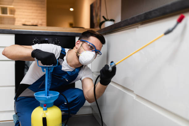 Best Wasp Removal Services  in Edmonston, MD