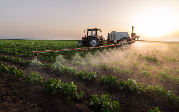 Professional Pest Control in Edmonston, MD