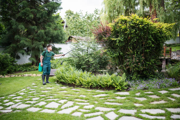 Best Best Pest Control Companies  in Edmonston, MD