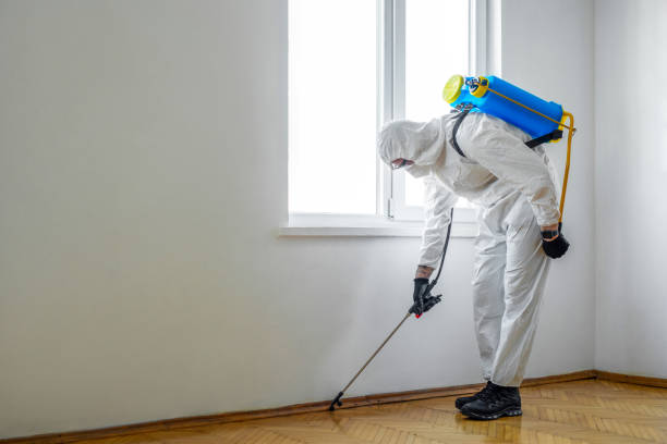 Best Commercial Pest Control Services  in Edmonston, MD