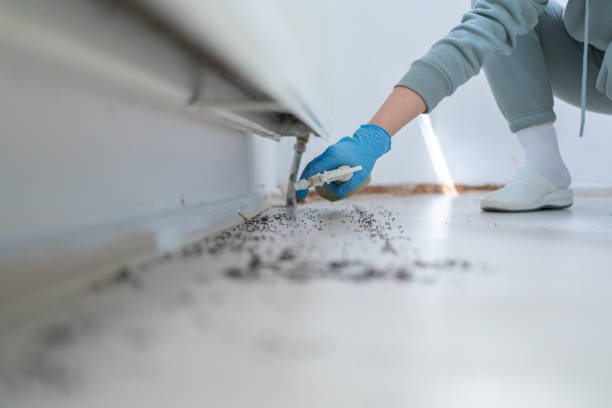 Best Bed Bug Extermination  in Edmonston, MD