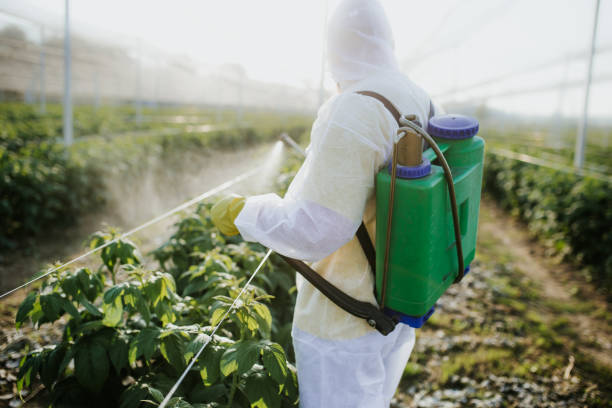 Best Affordable Pest Control Services  in Edmonston, MD